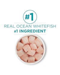 real ocean whitefish is the number one ingredient
