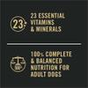 Pro-plan-sensitive-skin-and-stomach-complete-balanced-wet-dog-food-variety-pack-with-samon-and-rice-lamb-and-oatmeal