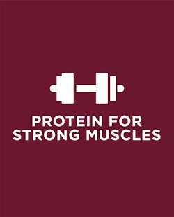 Protein for strong muscles