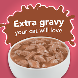 Extra gravy your cat will love