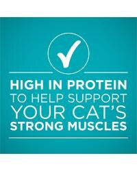 rico en proteínas