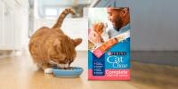 Cat eating a bowl of Cat Chow Complete with Salmon