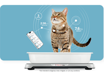 Petivity Smart Litterbox Monitor system identifies changes that may be associated with a health condition