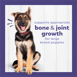 dc large breed bone and joint