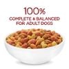 Completo y equilibrado al 100 % para perros adultos