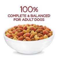 Completo y equilibrado al 100 % para perros adultos