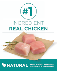number one ingredient real chicken