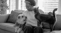 Woman petting a cat and a dog