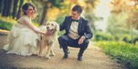 una pareja con ropa de boda acariciando a un perro en una acera