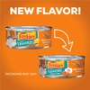 Nuevo sabor de Friskies