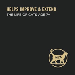 Ayuda a mejorar y prolongar la vida de los gatos mayores de 7 años