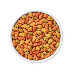 Friskies Indoor Delights kibble in a bowl