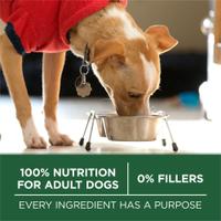 po dog dry smbrdadlt fb3