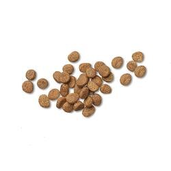 Pieces of food