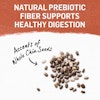 natural prebiotics fiber supports digestive health