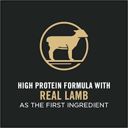 high protein formula with real lamb as the first ingredient