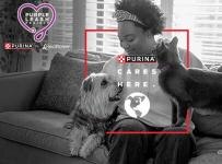 domestic abuse survivor on couch holding their dog and cat