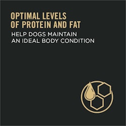 niveles óptimos de proteína y grasa