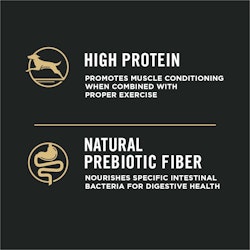 high in protein, natural prebiotic fiber