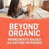 Beyond Organic Chicken & Sweet Potato Recipe Paté Natural Wet Cat Food