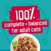100% Complete + Balanced for Adult Cats
