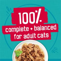 100% Complete + Balanced for Adult Cats