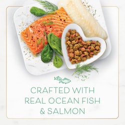 fancy feast dry ocean fish salmon ingredients