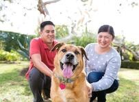 un hombre y una mujer con un perro amarillo