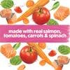 made with real salmon, tomatoes ,carrots and spinach
