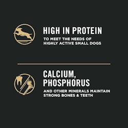 High in protein to meet the needs of highly active small dogs. Calcium, phosphorus and other minerals maintain strong bones & teeth.