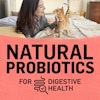 Natural Probiotics