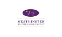 westminster dog show