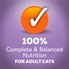 Una nutrición para gatos 100 % completa y balanceada