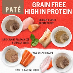 grain free and high in protein