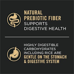 Natural Prebiotic Fiber