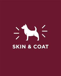 Skin and coat