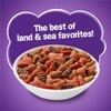 Friskies Surfin' Turfin' Favorites kibble bowl