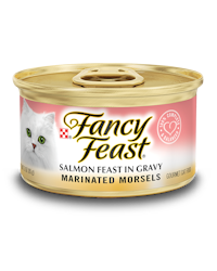 Fancy Feast® Marinated Morsels Salmon Gourmet Wet Cat Food in Gravy