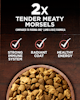 2x tender meaty morsels. Strong immune system, Radiant coat, Healthy energy.