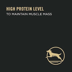 High protein level to maintain muscle mass