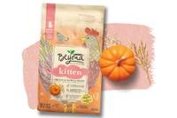 Beyond natural kitten food recipes