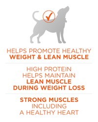 helps promote healthy weight and lean muscle