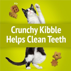 Crunchy Kibble Helps Clean Teeth 