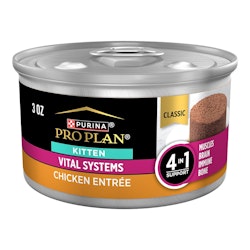 Purina Pro Plan Vital Systems Kitten Chicken Entree Wet Cat Food 