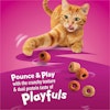  Pounce and Play with the crunchy texture and dual protein taste of Playfuls
