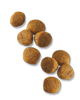 croquetas-pollo-arroz-para-cachorros-razas-pequeñas-pro-plan-focus