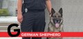 G is for German Shepherd