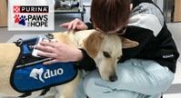 Purina Paws For Hope Banner