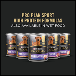 Fórmulas Pro Plan Sport ricas en proteínas, también disponibles en alimento húmedo