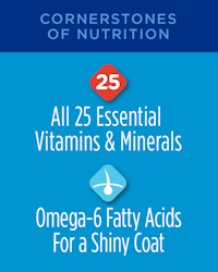 cornerstones of nutrition, all 25 essential vitamins and minerals, omega-6 fatty acids for shiny coat